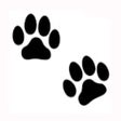 ไอคอนของโปรแกรม: Footprint