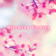 プログラムのアイコン：Beautisul Wallpaper Bloom…