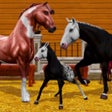 Icoon van programma: Star Equestrian - Horse R…