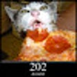 HTTP Status Cats Homepage icon