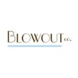 Icon of program: The Blowout Co