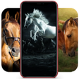 Programikonen: Horse Wallpapers HD  Hors…