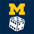 Programikonen: Michigan Liars Dice