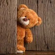 プログラムのアイコン：Cute Bear Wallpaper