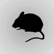 Иконка программы: Mouse Sound