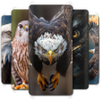 أيقونة البرنامج: Eagle Wallpaper