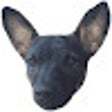 プログラムのアイコン：tiny hyena