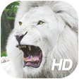 Ícone do programa: White Lion Wallpaper HD