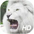 White Lion Wallpaper HD