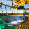Иконка программы: Survival Craft Shipwreck