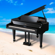 أيقونة البرنامج: 100 Piano Songs