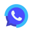 Programikonen: LeadSquared WhatsApp Inje…