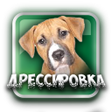程序图标：Дрессировка Собак Воспита…