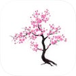 Иконка программы: Timefully  Meditation Tim…