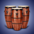 Icoon van programma: REAL PERCUSSION: Electron…