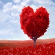 Programikonen: Love HD Wallpapers New Ta…