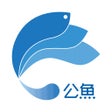 Programikonen: 公鱼