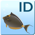 程序图标：PacFishID