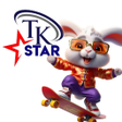 程序图标：TKSTAR Store