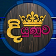 程序图标：Diyunuwa - දයණව  සවය රක