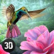 ไอคอนของโปรแกรม: Hummingbird Simulator 3D:…