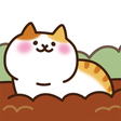 プログラムのアイコン：Field of Cats