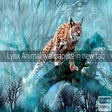 Programikonen: Lynx Animal Wallpapers Ne…
