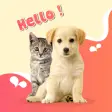 Cat  Dog Translator Prank App