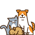Icon of program: 반동라-반려동물고양이강아지유기견후원