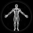 プログラムのアイコン：BodBot Gym  Home Workout …