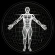 Programın simgesi: BodBot Gym  Home Workout …