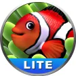 Aquarium Screensaver Lite