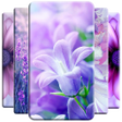 Purple Flower Wallpaper icon