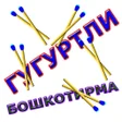 Programikonen: Гугуртли бошкотирма