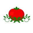 Programikonen: Garden Grocer