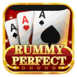 Programikonen: Rummy Perfect