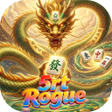프로그램 아이콘: 5rt Rogue