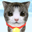 프로그램 아이콘: Cat Simulator