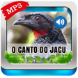 Icono de programa: O Canto do Jacu Pássaro