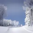 Ski Paradise