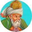 Mavlono Rumiy hikmatlari