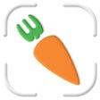 Icono de programa: CibouScan
