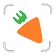 Symbol des Programms: CibouScan