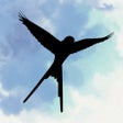 Icoon van programma: WingMate Companion