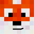 Ikon program: FoxyCraft