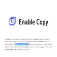 프로그램 아이콘: Enable Copy