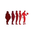 Biểu tượng của chương trình: My Evolution Fitness