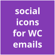 ไอคอนของโปรแกรม: Social Icons for WooCoome…