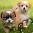 Dogs  Cats Puzzles for kids 2