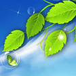 Frutiger Aero Live Wallpaper icon